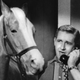 Illustration for article titled emMister Ed/em will be a movie now, of course, of course
